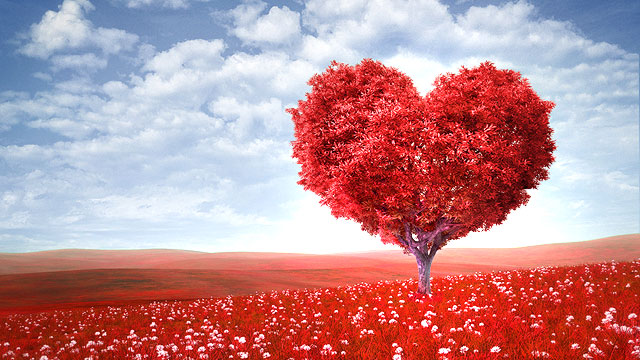 love-of-god-tree-heart